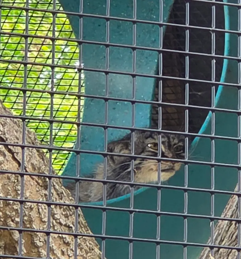 ニアビ動物園のイーヴィーの写真
