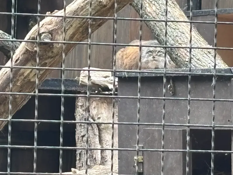 ワルシャワ動物園のジェシーの写真