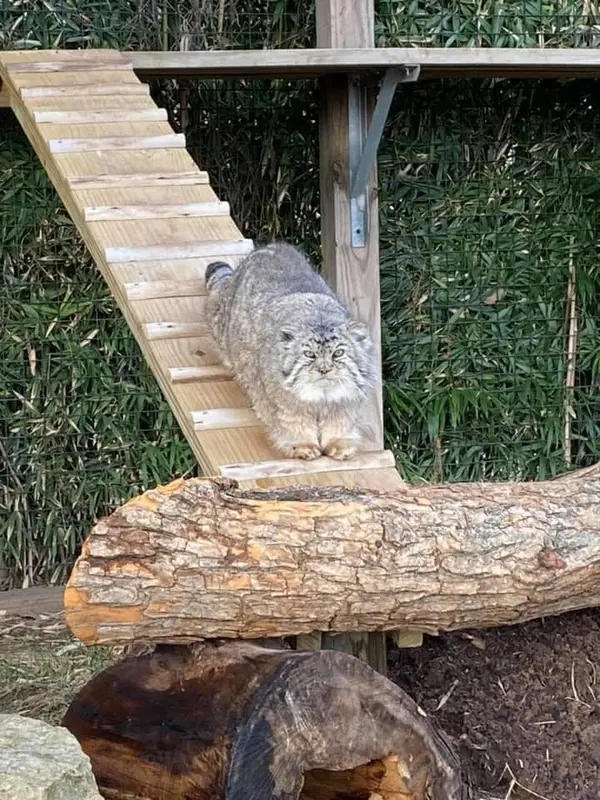 タンガニーカ野生動物公園のティムの写真