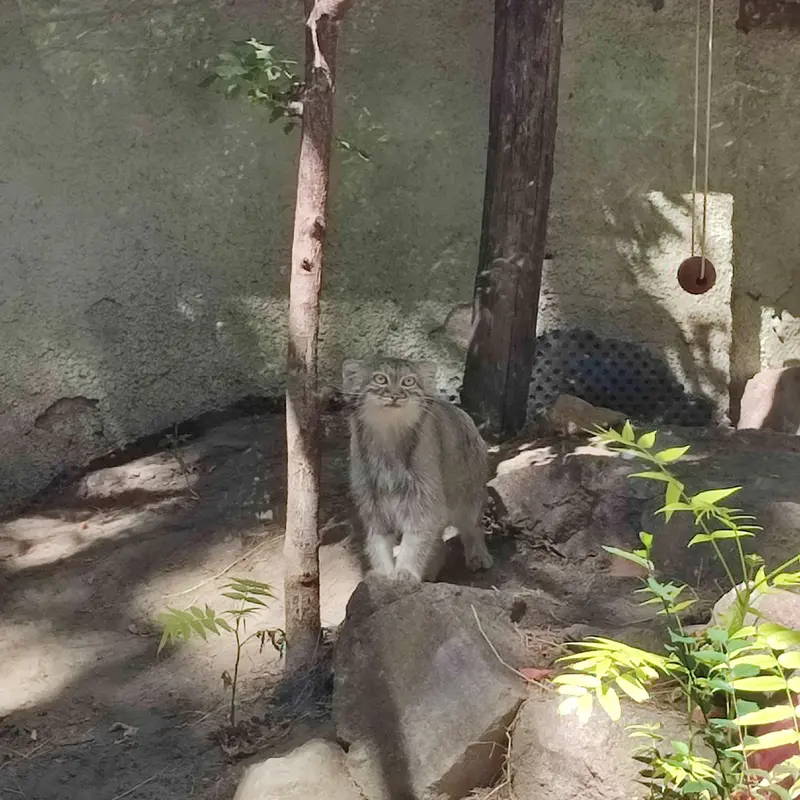 ブダペスト動物園・植物園のルーシーの写真