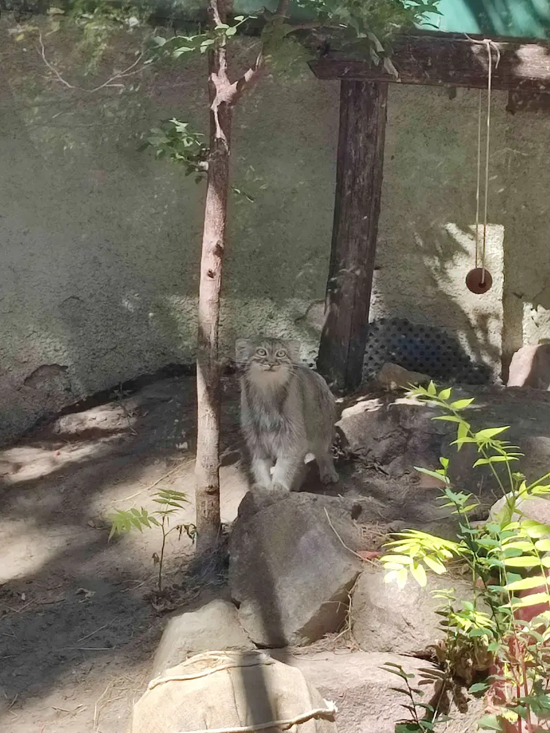 ブダペスト動物園・植物園のルーシーの写真