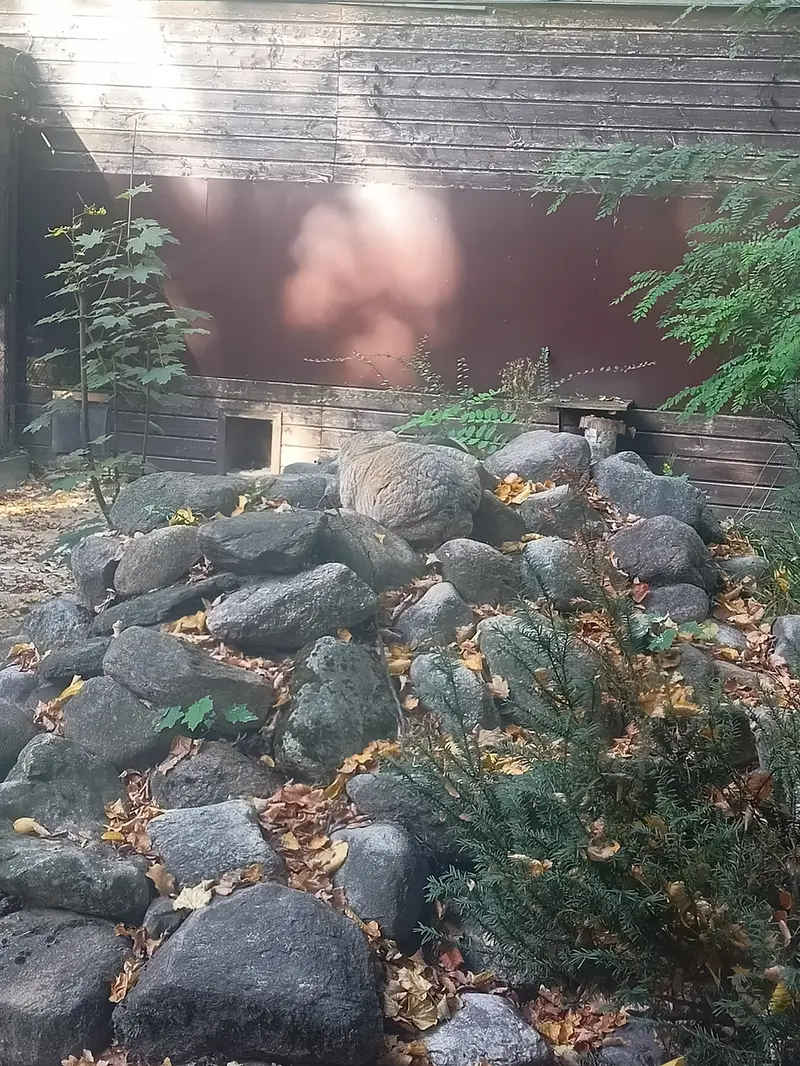 ポズナン新動物園のボジェンカの写真