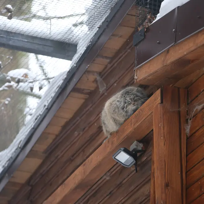 グダニスク動物園のウラの写真