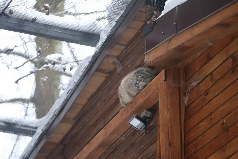 グダニスク動物園のウラの写真