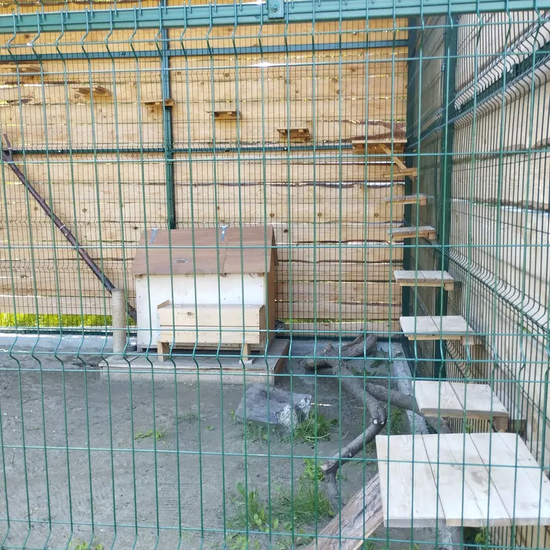 バルナウル動物園「レースナヤ・スカースカ」のチップの写真