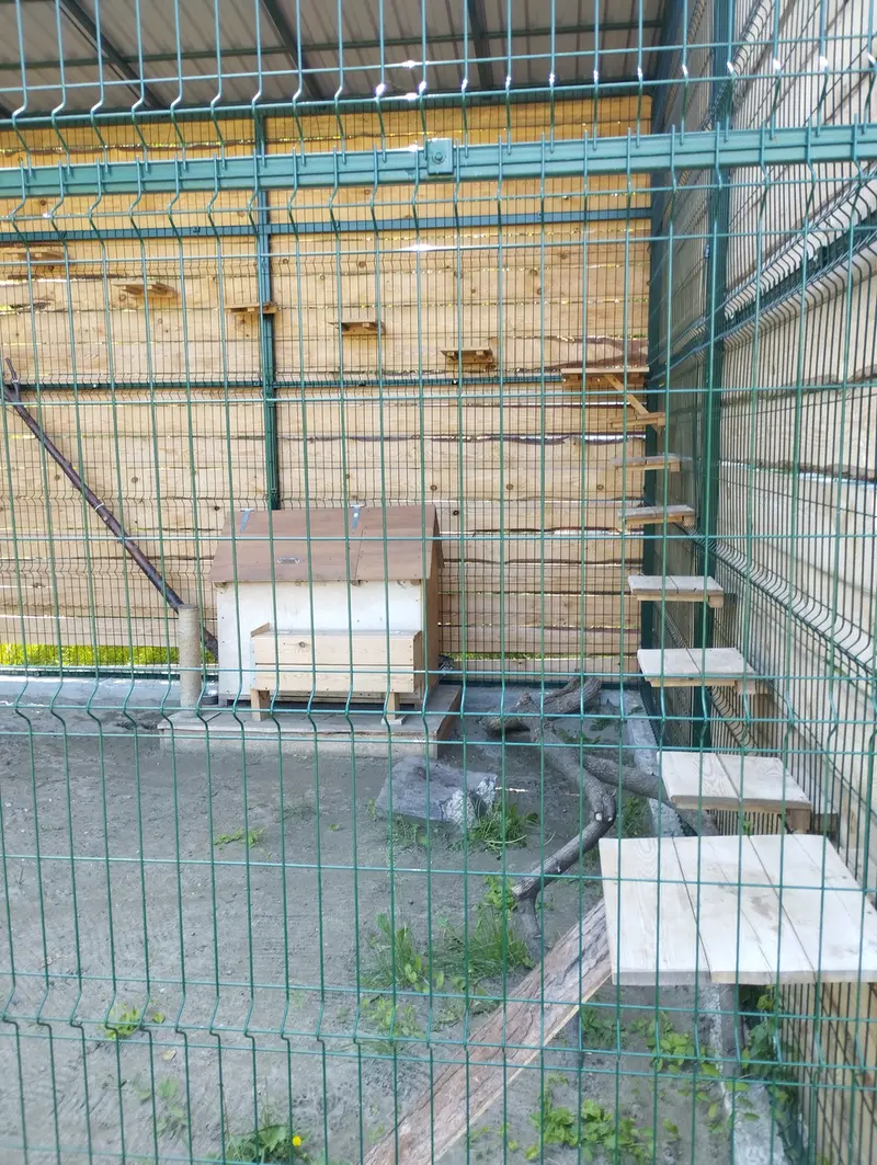 バルナウル動物園「レースナヤ・スカースカ」のチップの写真