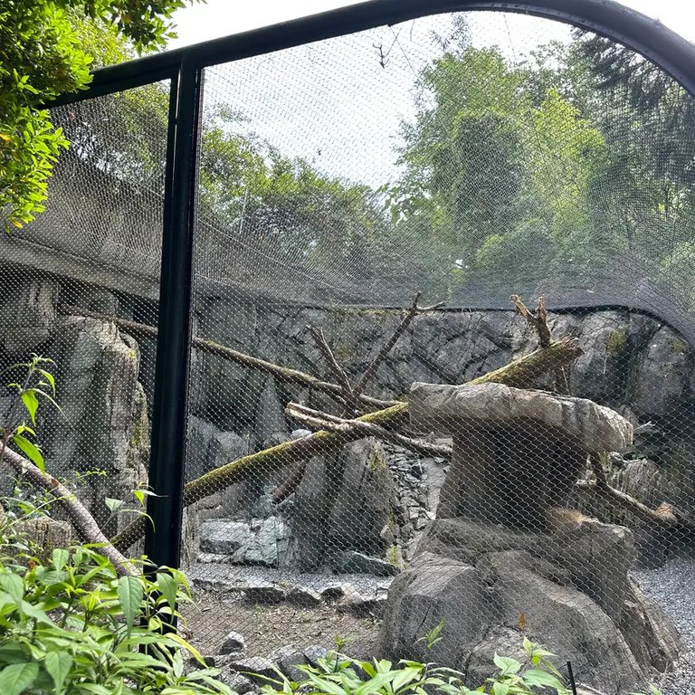 ウッドランド・パーク動物園のマヌルネコの写真