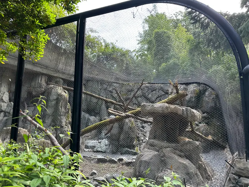 ウッドランド・パーク動物園のマヌルネコの写真