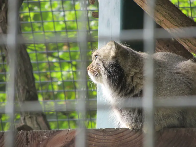 ザールブリュッケン動物園のカール・ハインツの写真