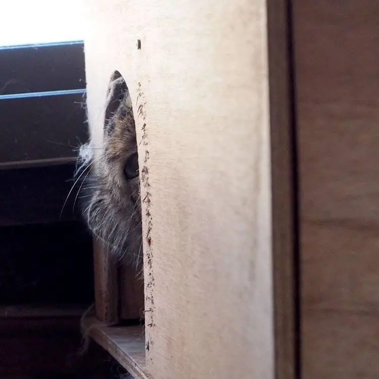埼玉県こども動物自然公園のセバスチャンの写真