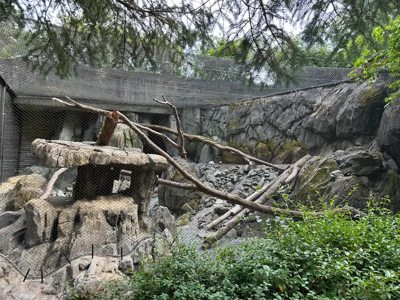 ウッドランド・パーク動物園のマヌルネコの写真