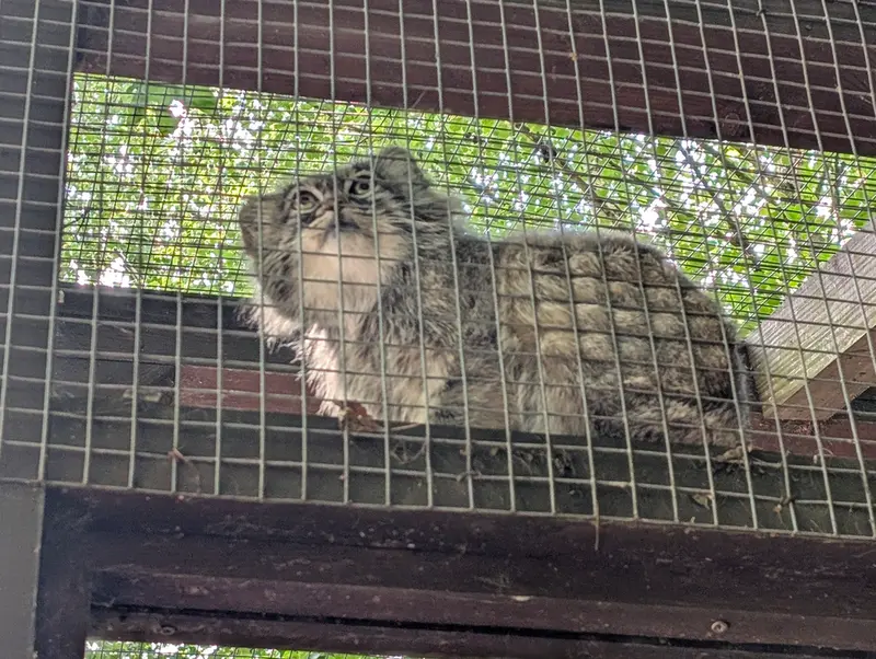 ブダペスト動物園・植物園のアイセンの写真