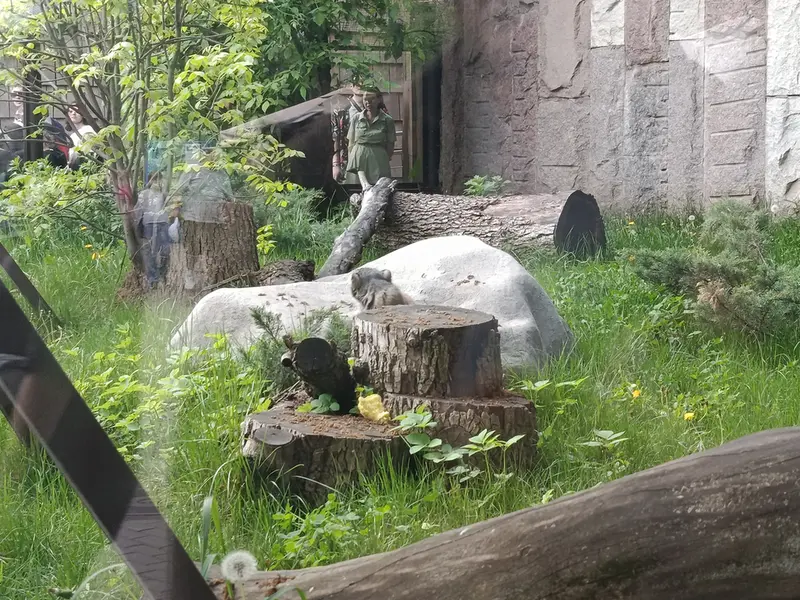 モスクワ動物園のティモフェイの写真