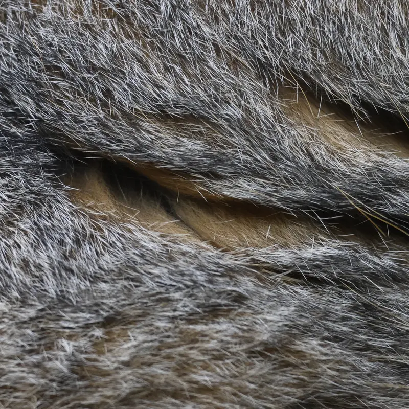 モスクワ動物園のティモフェイの写真
