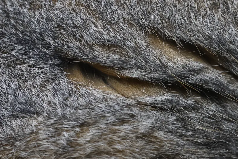 モスクワ動物園のティモフェイの写真