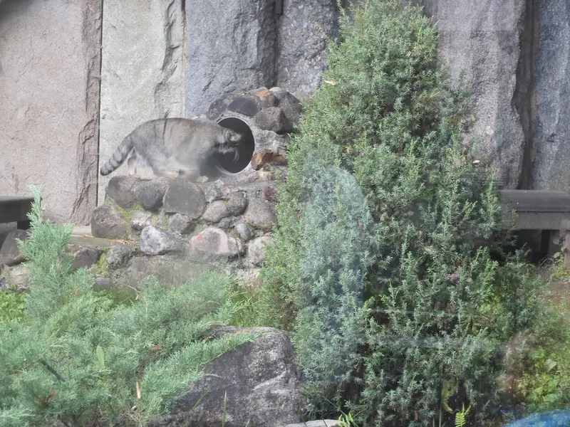 モスクワ動物園のティモフェイの写真