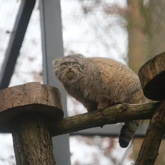 グダニスク動物園のウラの写真
