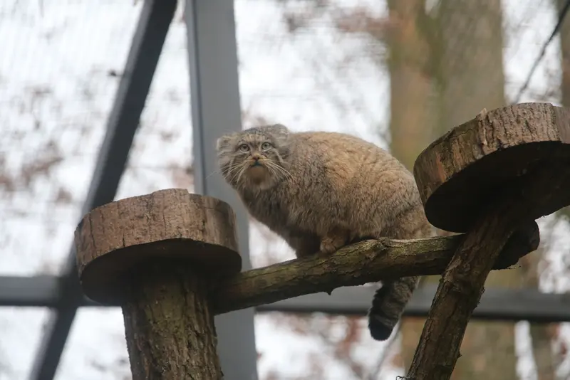グダニスク動物園のウラの写真