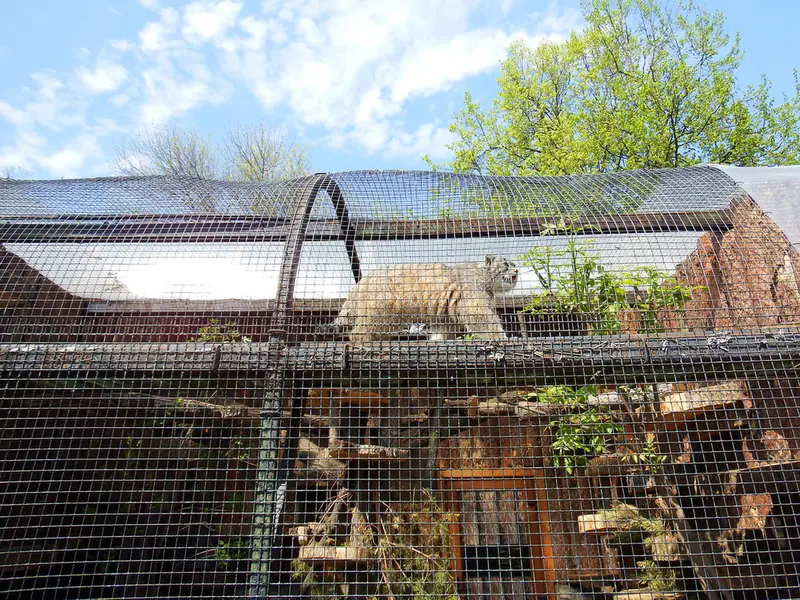 レニングラード動物園のシューの写真