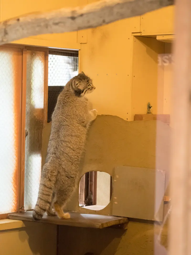 埼玉県こども動物自然公園のオトの写真