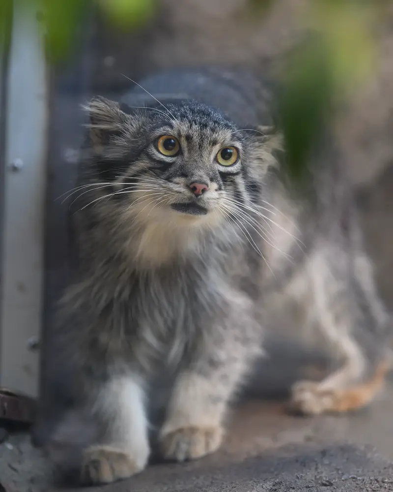 神戸どうぶつ王国のオトの写真