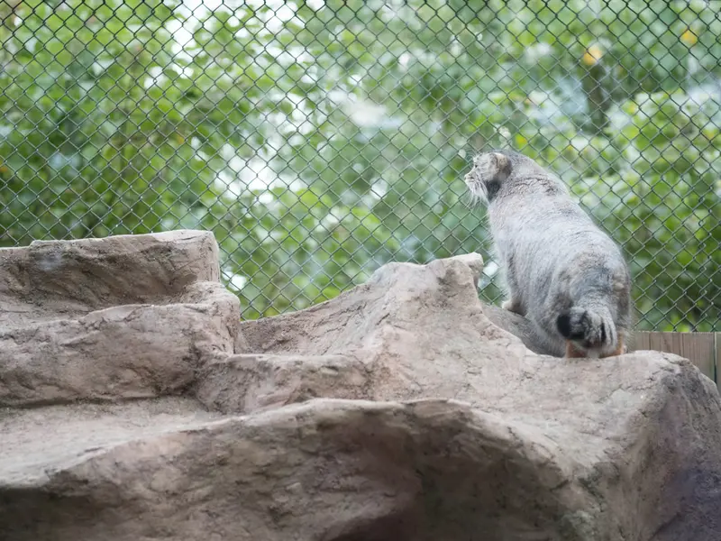 埼玉県こども動物自然公園のオトの写真