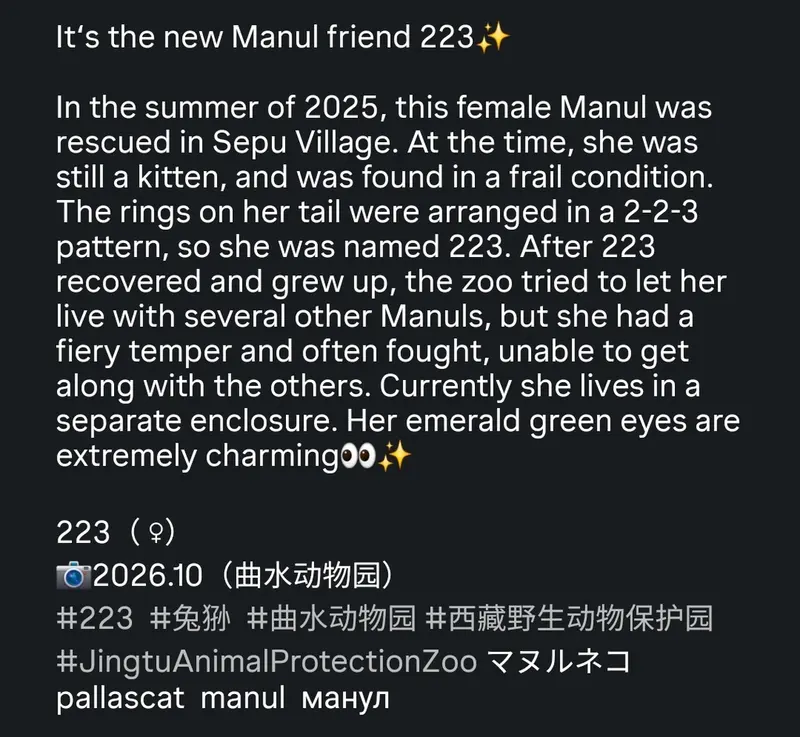 223の写真