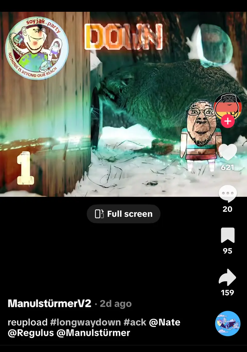 マヌルネコの写真
