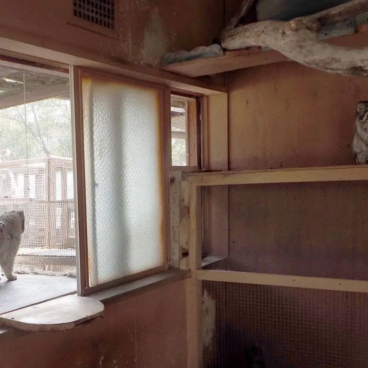埼玉県こども動物自然公園のセバスチャンとタビーの写真