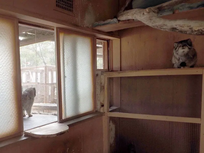 埼玉県こども動物自然公園のセバスチャンとタビーの写真