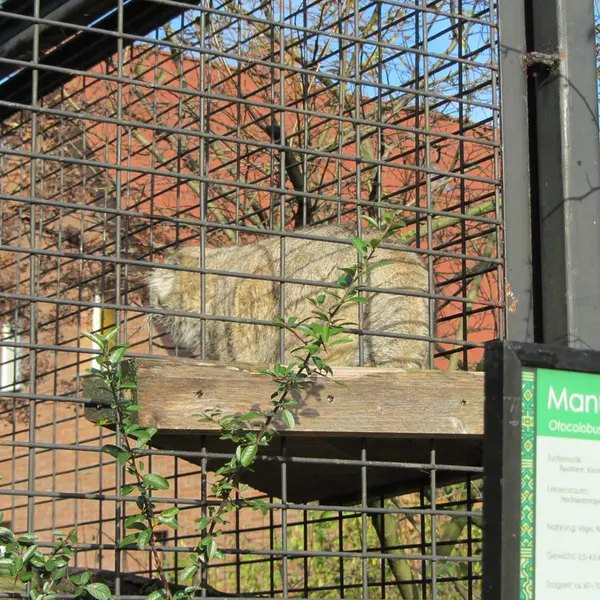 マクデブルク動物園のジョナサンの写真