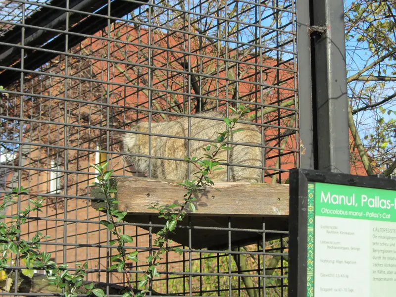 マクデブルク動物園のジョナサンの写真