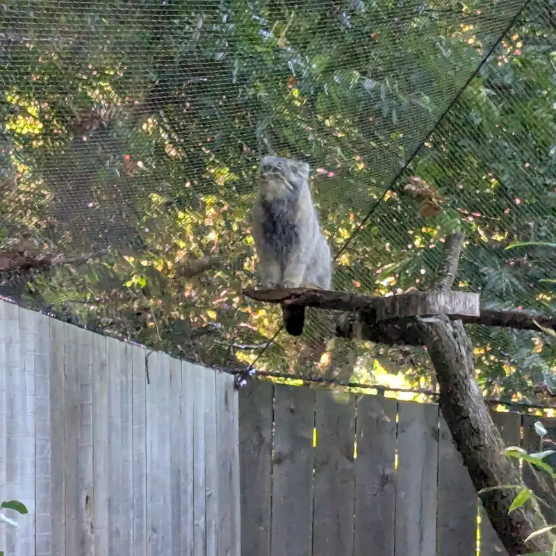 トレゴムール動物園のアルタイの写真