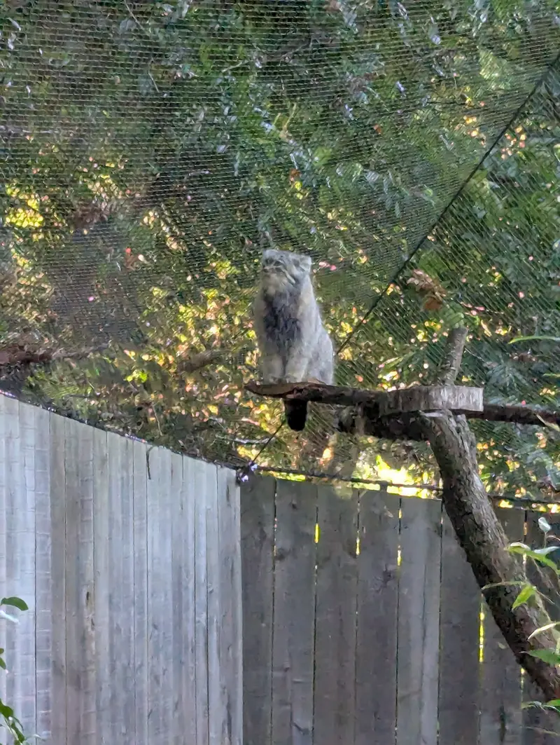 トレゴムール動物園のアルタイの写真