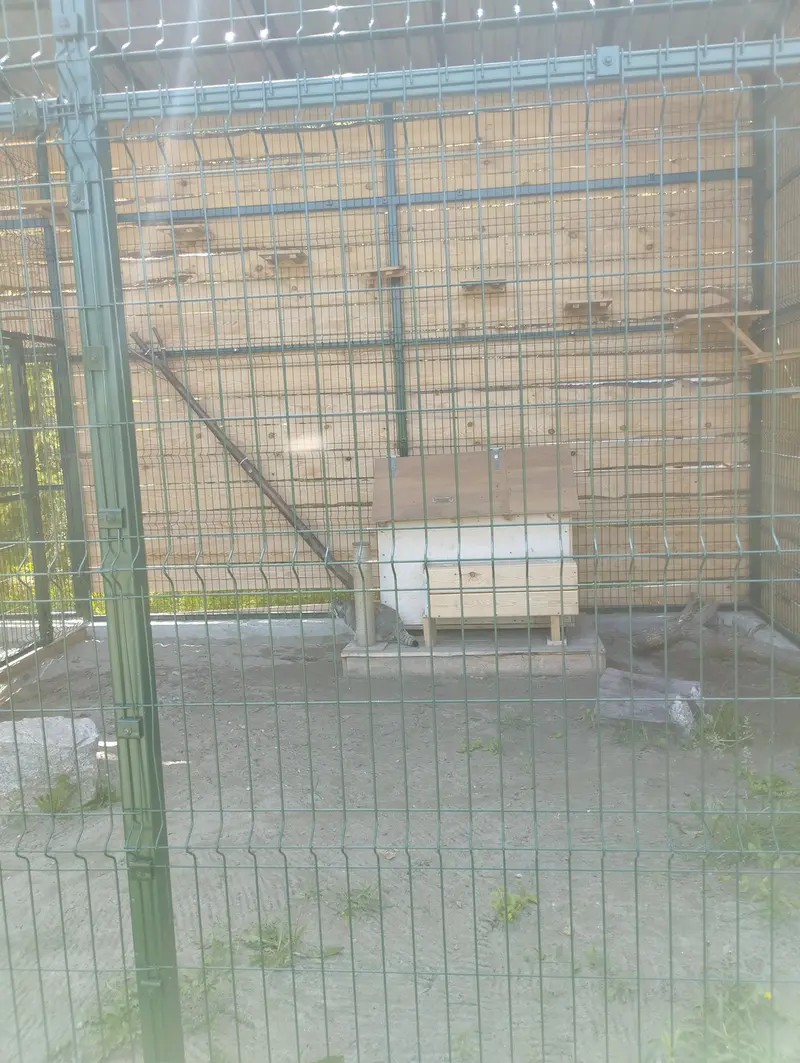 バルナウル動物園「レースナヤ・スカースカ」のチップの写真