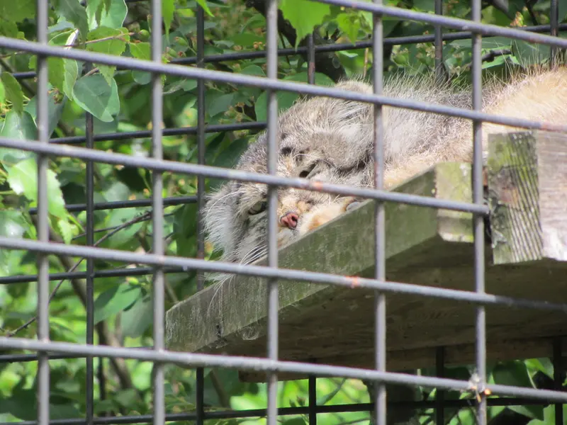 マクデブルク動物園のジョナサンの写真