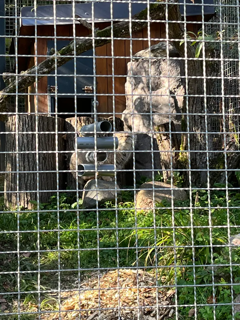 リトアニア動物園のメリッサの写真