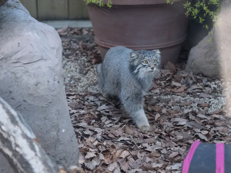 埼玉県こども動物自然公園のオトの写真