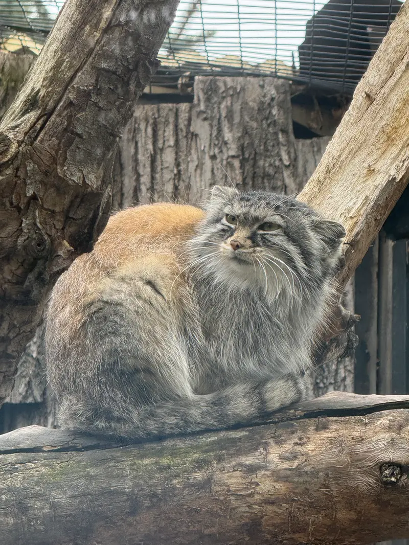 レッドリバー動物園のミーラの写真