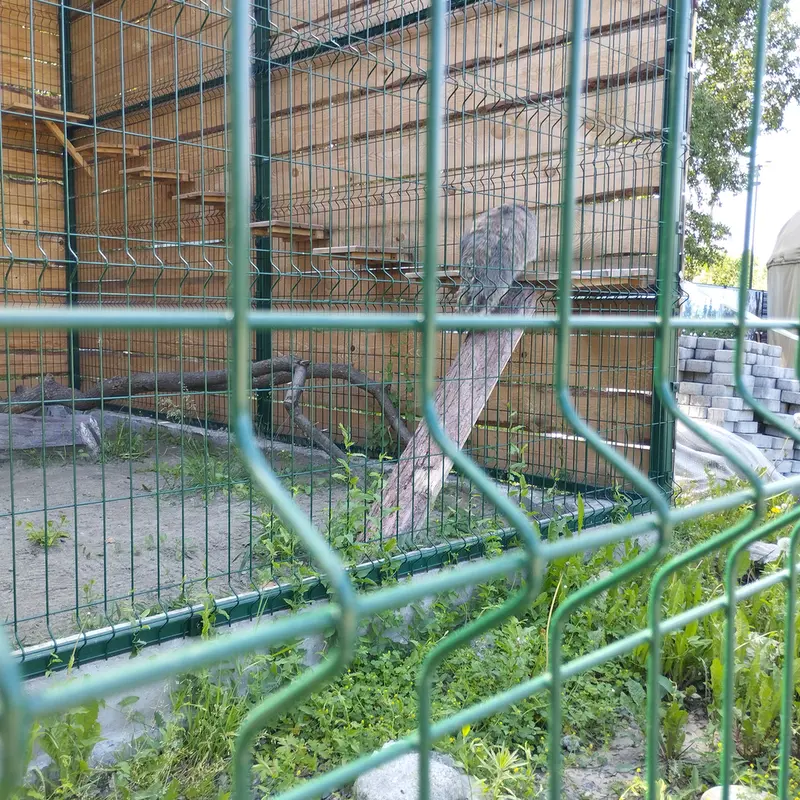 バルナウル動物園「レースナヤ・スカースカ」のチップの写真