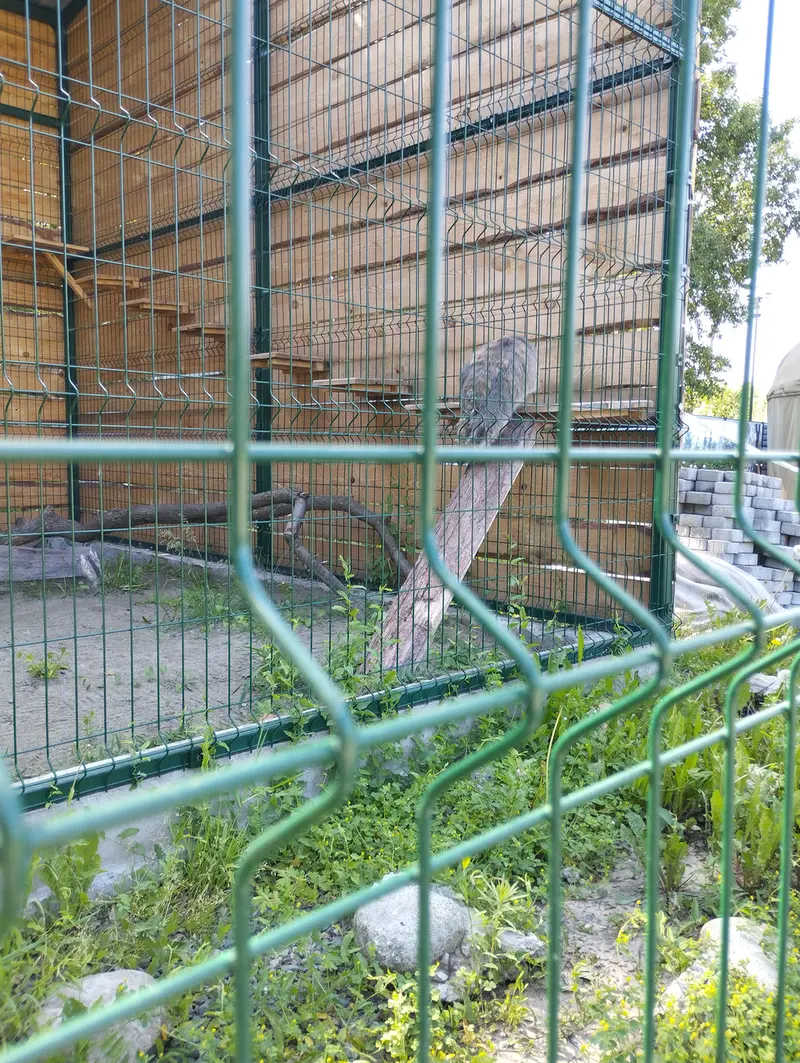 バルナウル動物園「レースナヤ・スカースカ」のチップの写真