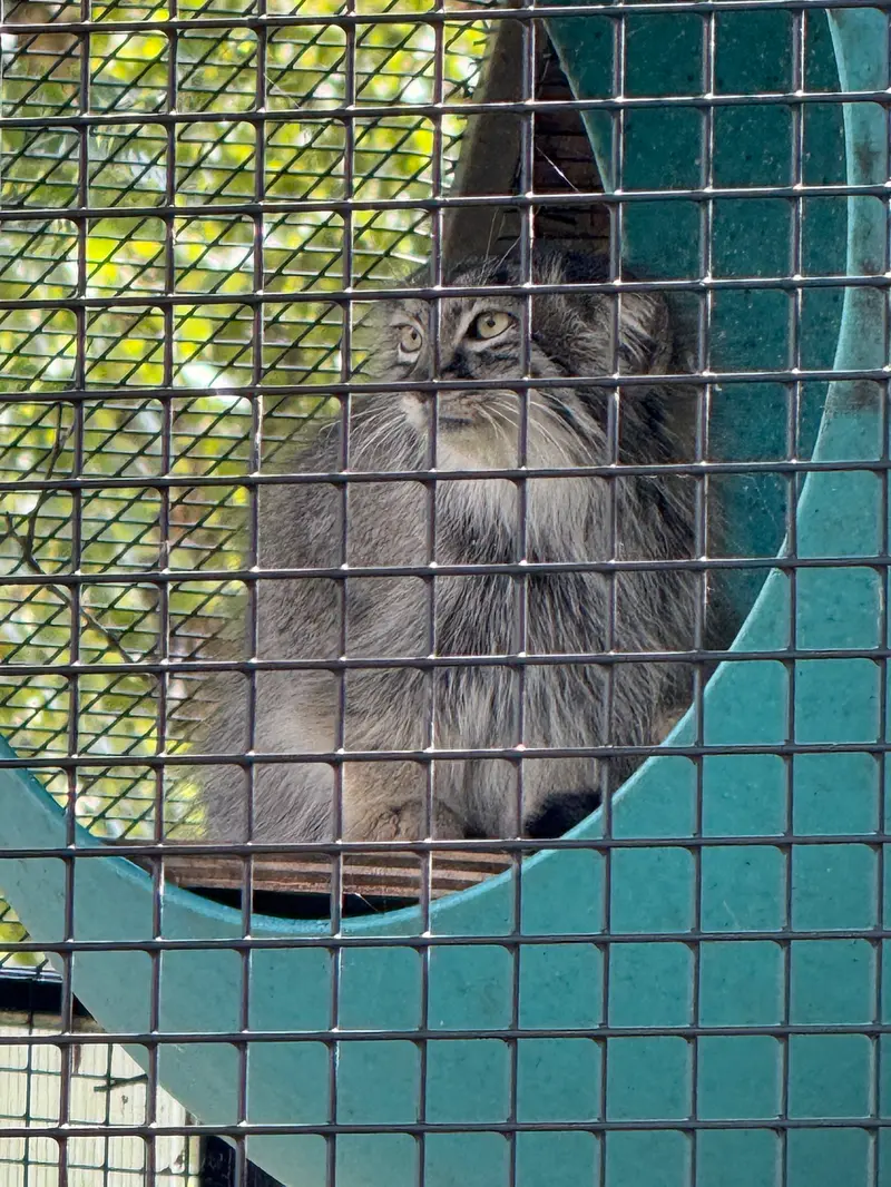 ニアビ動物園のイーヴィーの写真
