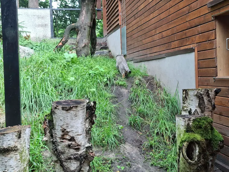 グダニスク動物園のマヌエルの写真