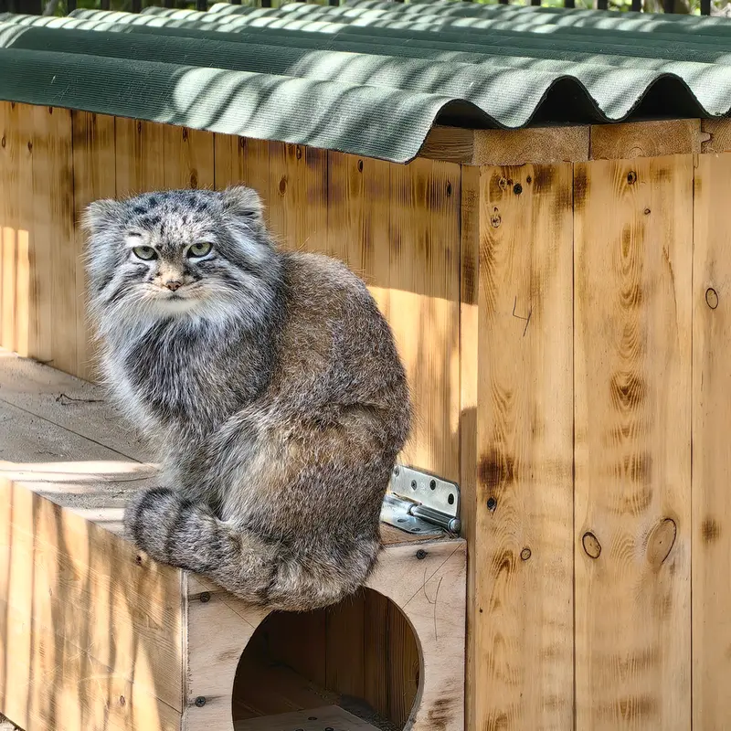 ノヴォシビルスク動物園のガビの写真