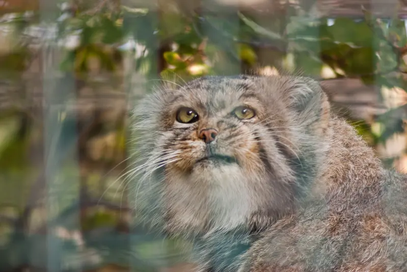 マクデブルク動物園のジョナサンの写真