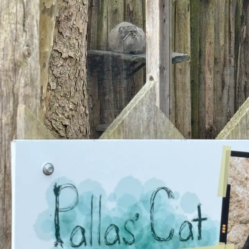 ポッター・パーク動物園のパジの写真