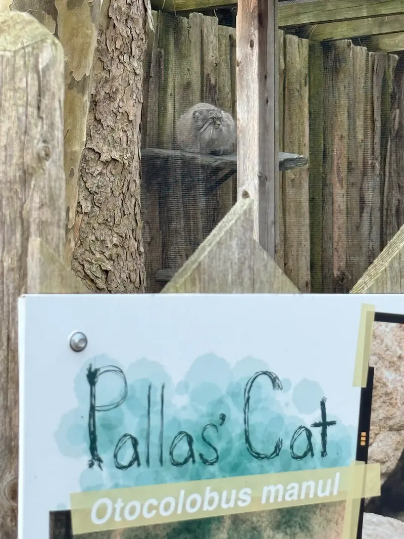 ポッター・パーク動物園のパジの写真