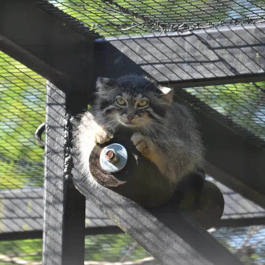 グダニスク動物園のウラの写真