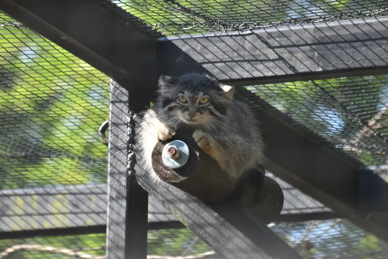 グダニスク動物園のウラの写真