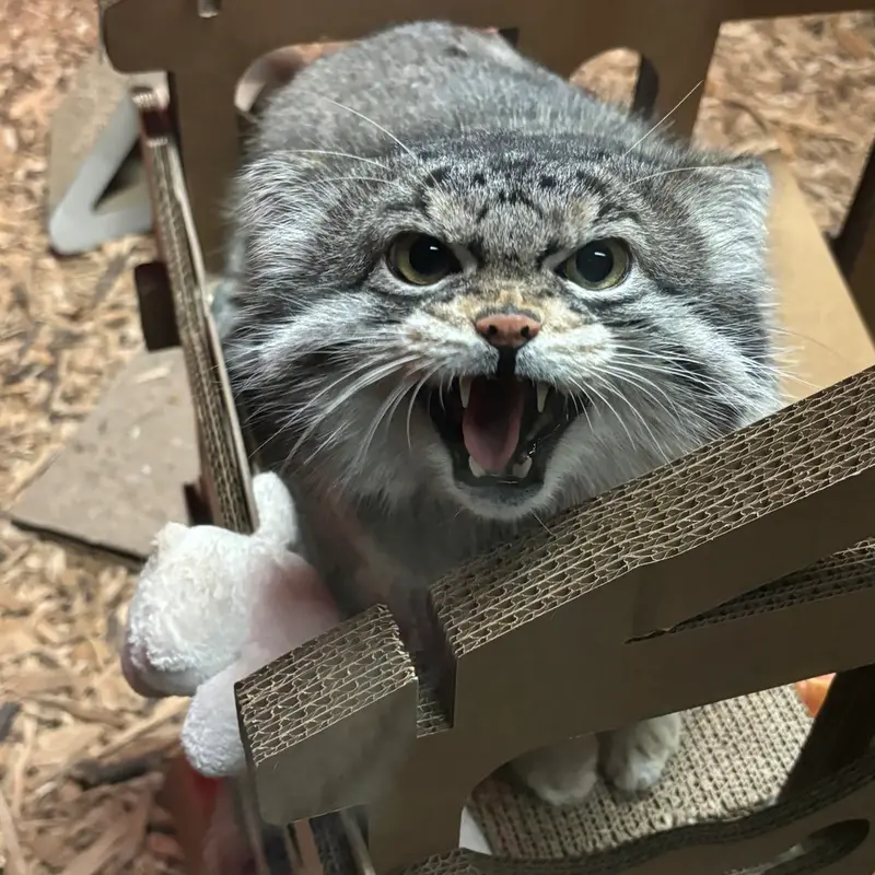 スペリオル湖動物園のパブの写真